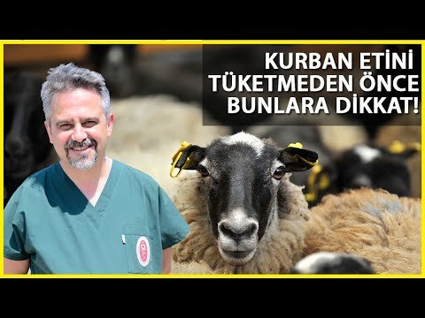 Prof. Dr. Tayar: Eti Taze Tüketmeyin, Bayram Sabahı Sakatatları Yiyin