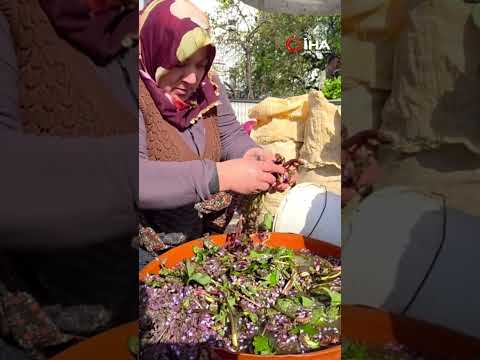 Doğadan Gelen Şifa: Kaldirik Otu Yoğun İlgi Görüyor