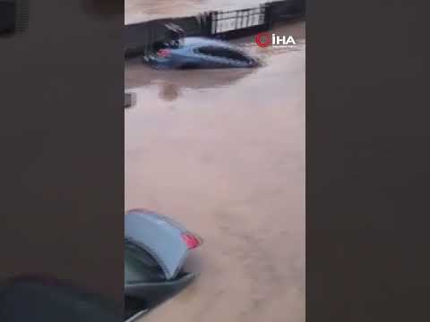 Siirt’te araçlar sel sularında kayboldu, onlarca hayvan telef oldu