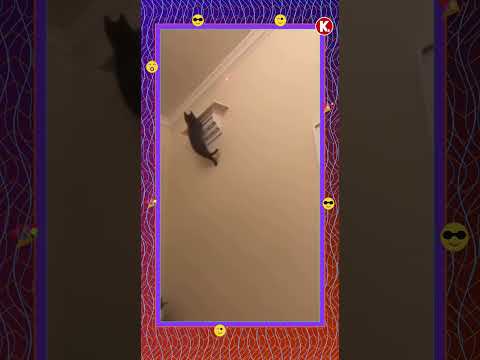 hqdefault