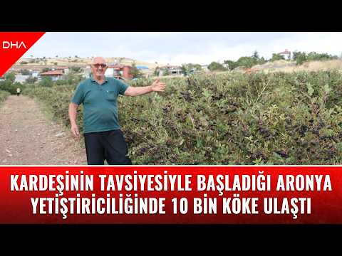 Kardeşinin tavsiyesiyle başladığı aronya yetiştiriciliğinde 10 bin köke ulaştı