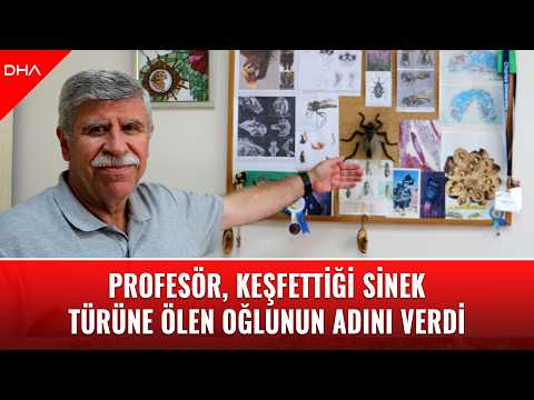 Profesör, keşfettiği sinek türüne ölen oğlunun adını verdi